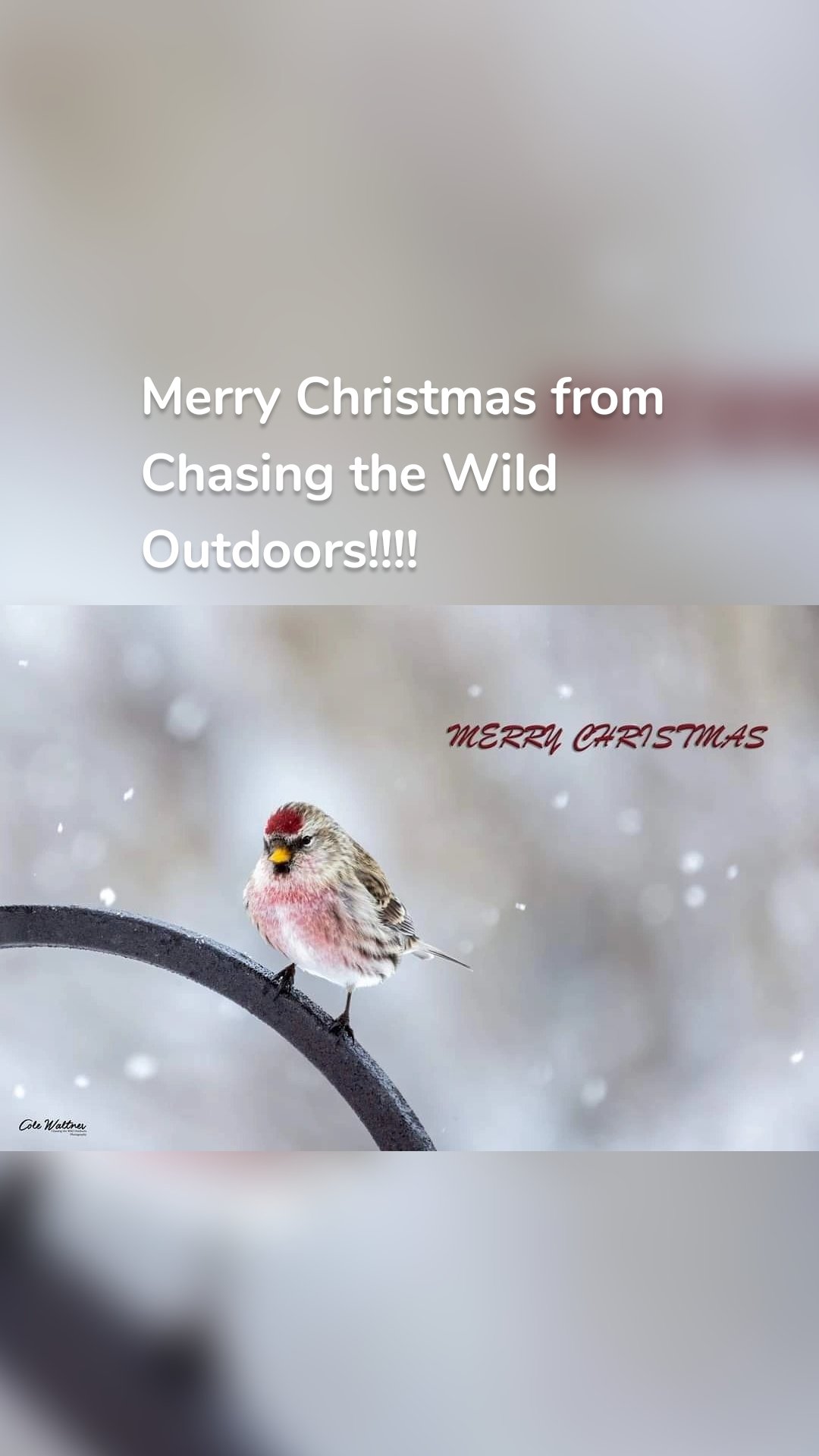 Merry Christmas from Chasing the Wild Outdoors!!!!